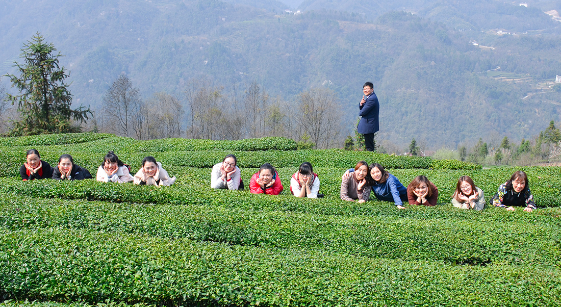 參觀青崗嶺茶園3